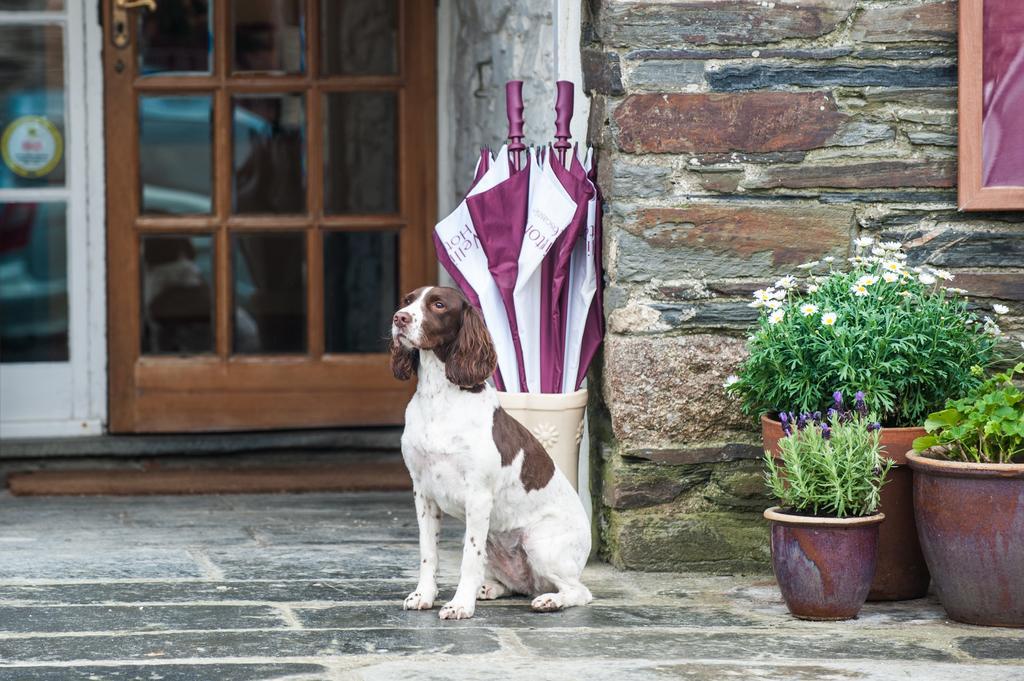 The Wellington Hotel Boscastle Εξωτερικό φωτογραφία